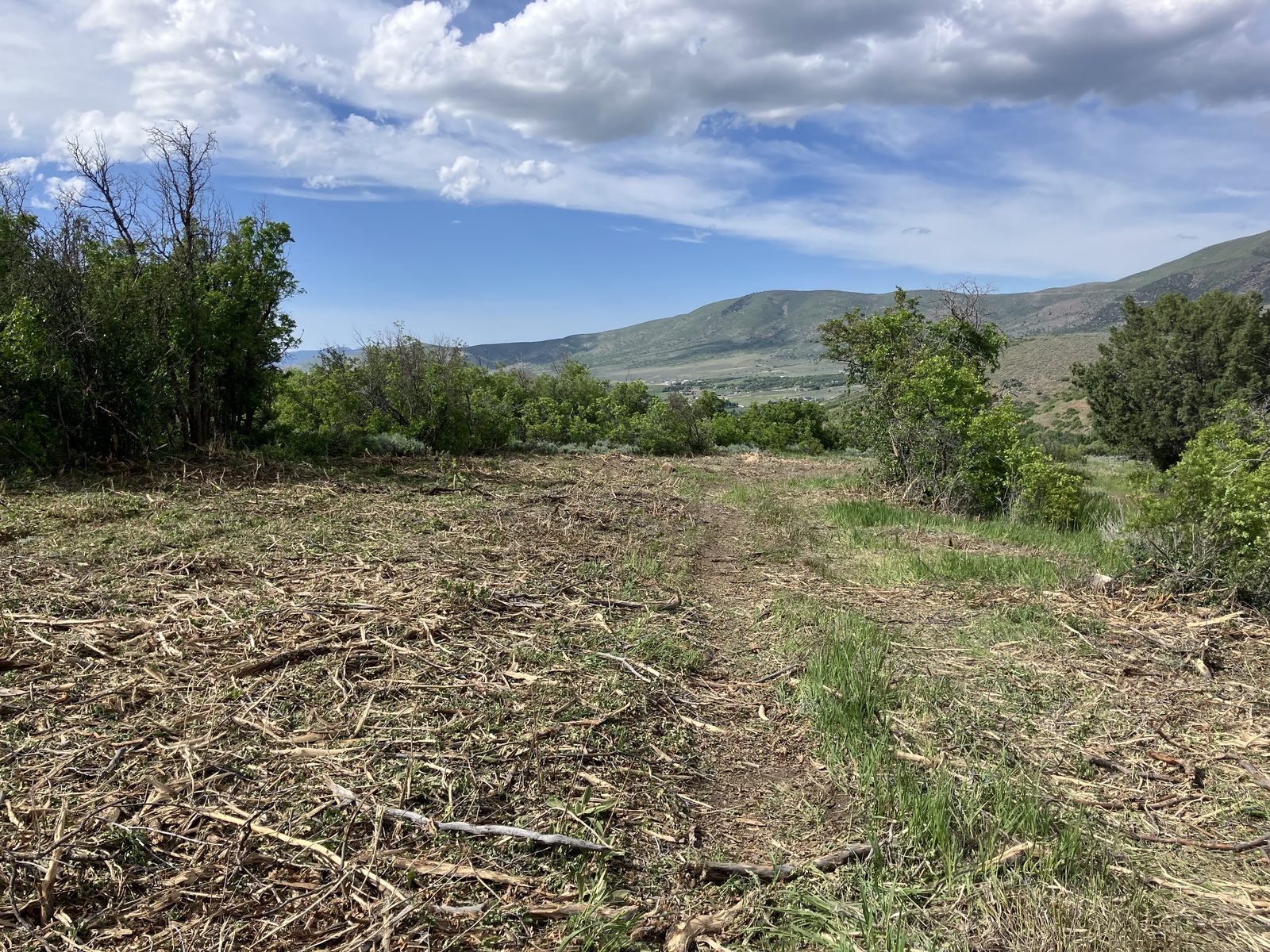 Cleared land with mountain view