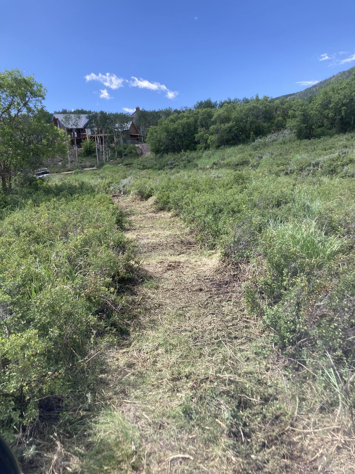 Cleared access trail through property