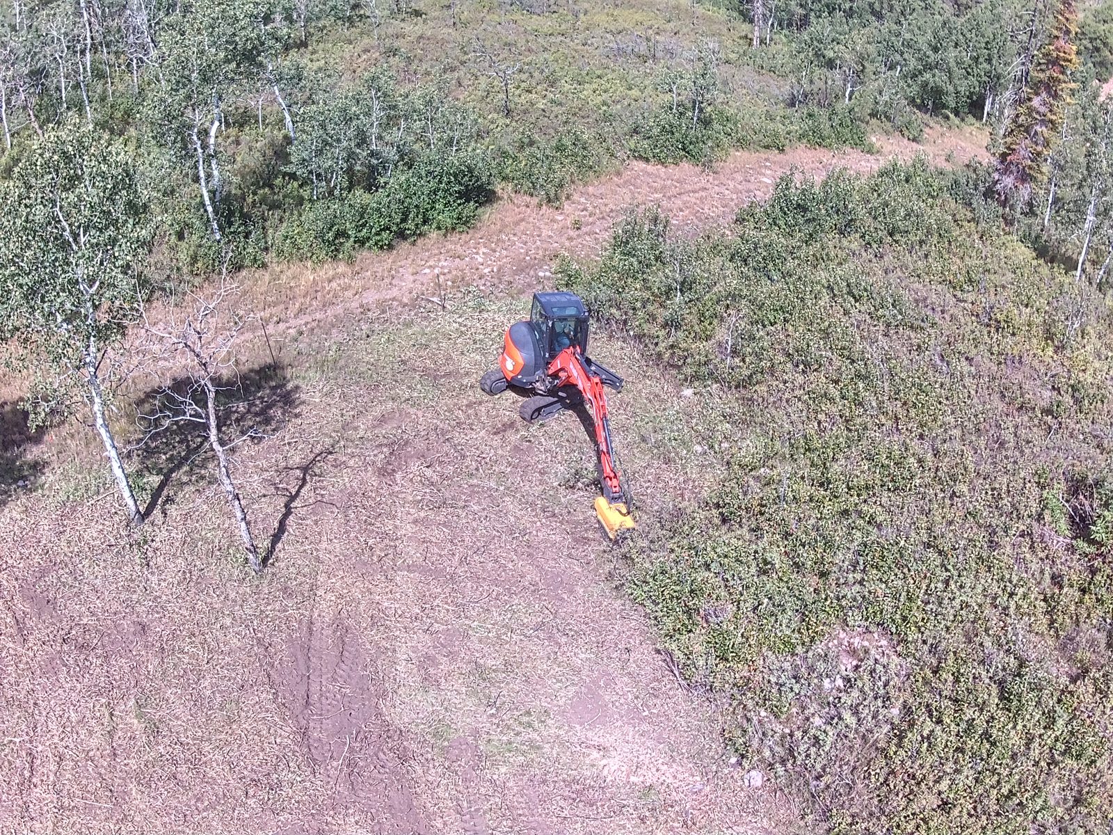 Cleared fuel break near structures