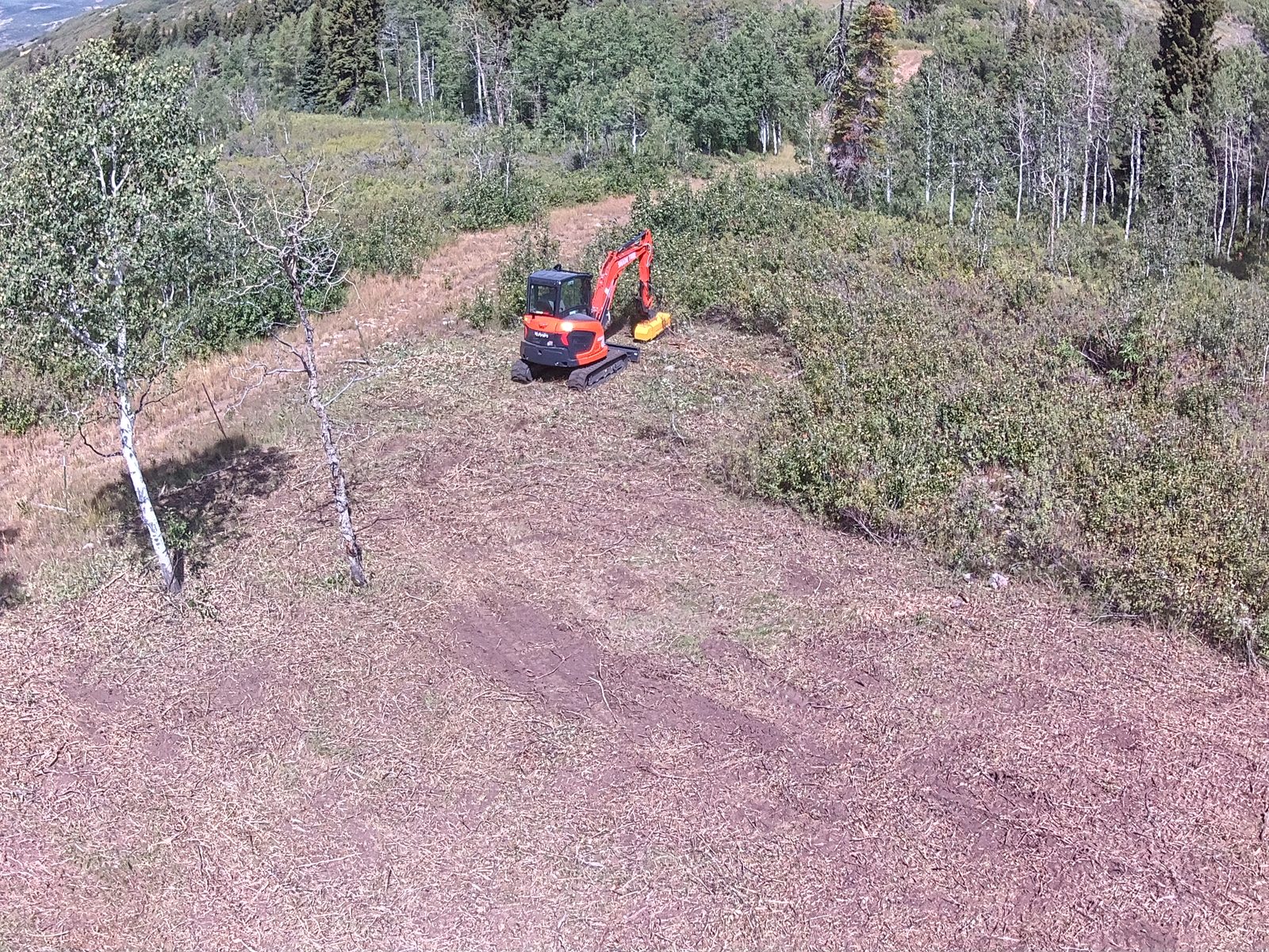 Cleared defensible space around property